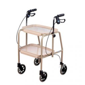 Walker Trolley