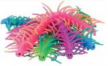 Wriggly Centipedes