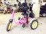 Preloved PINK Kitten Trike (Children 2-5 years old)