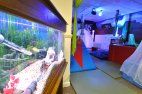 Amazing Multisensory Suite!!