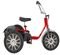 Carousel Trike (children 4-7 years old)