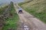 Trekinetic K2