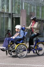 Draisin Plus Companion Tandem Trike