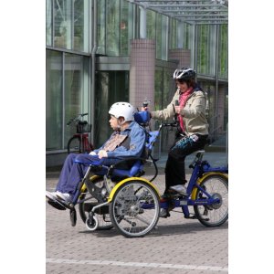 Draisin Plus Companion Tandem Trike