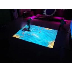 Flasma Interactive Image