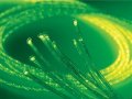 Jumbo Fibre Optic Sideglow