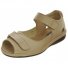 Summer Oyster