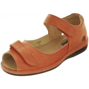 Summer Apricot