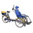 Draisin Plus Companion Tandem Trike