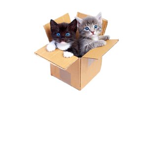 Cat Themed Wheelchair Trays
