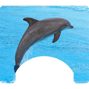 Sea Themed Wheelchair Trays