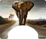 Elephant Themed Wheelchair Trays