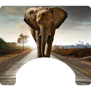 Elephant Themed Wheelchair Trays