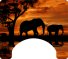 Elephant Themed Wheelchair Trays