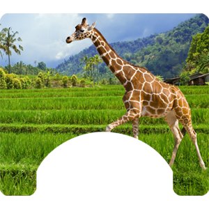 Giraffe Themed Wheelchair Trays