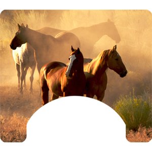 Horse Themed Wheelchair Trays