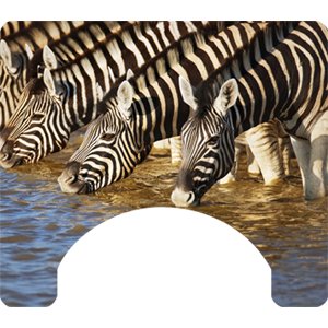 Zebra Themed Wheelchair Trays
