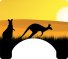 Marsupial Themed Wheelchair Trays