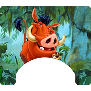Cartoon Themed Wheelchair Trays