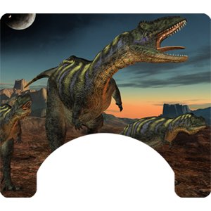 Fantasy Themed Wheelchair Trays